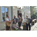 19noc bibliotek 2017