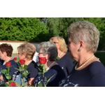 18noc bibliotek 2017