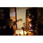 Andrzejkowe czary – mary w Bibliotece