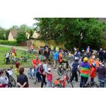 odjazdowy bibliotekarz 2015