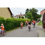 odjazdowy bibliotekarz 2015