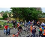 odjazdowy bibliotekarz 2015