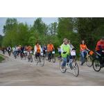 II Odjazdowy Bibliotekarz 