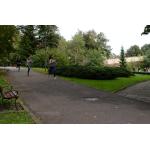 Wyścig po historię