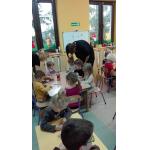 Dzien_Pluszowego_Misia