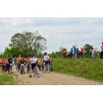 odjazdowy bibliotekarz 2015