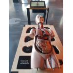 46.jpgProjekt Lem-wyjazd do Centrum Nauki Kopernik i Planetarium