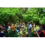 odjazdowy bibliotekarz 2015