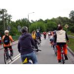 odjazdowy bibliotekarz 2015