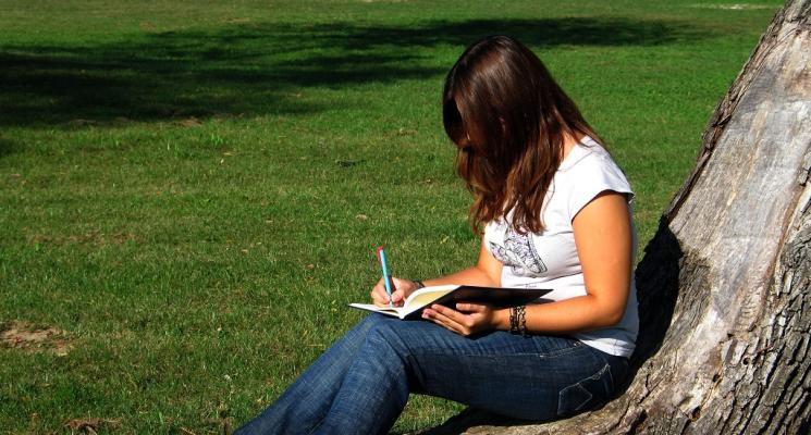 Lorem ipsum dolor
