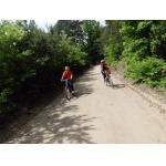 odjazdowy bibliotekarz 2015