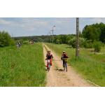 odjazdowy bibliotekarz 2015