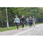 Wyścig po historię