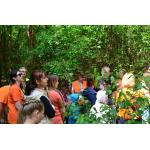 odjazdowy bibliotekarz 2015