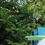 20_Swiatowy Dzien Smerfa 2023.jpg