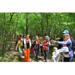 odjazdowy bibliotekarz 2015