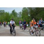 II Odjazdowy Bibliotekarz 