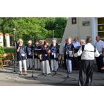 11noc bibliotek 2017